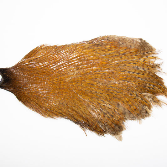 Magnum Streamer Neck Barred Ginger