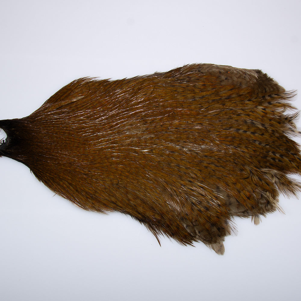 Magnum Streamer Neck Barred Olive