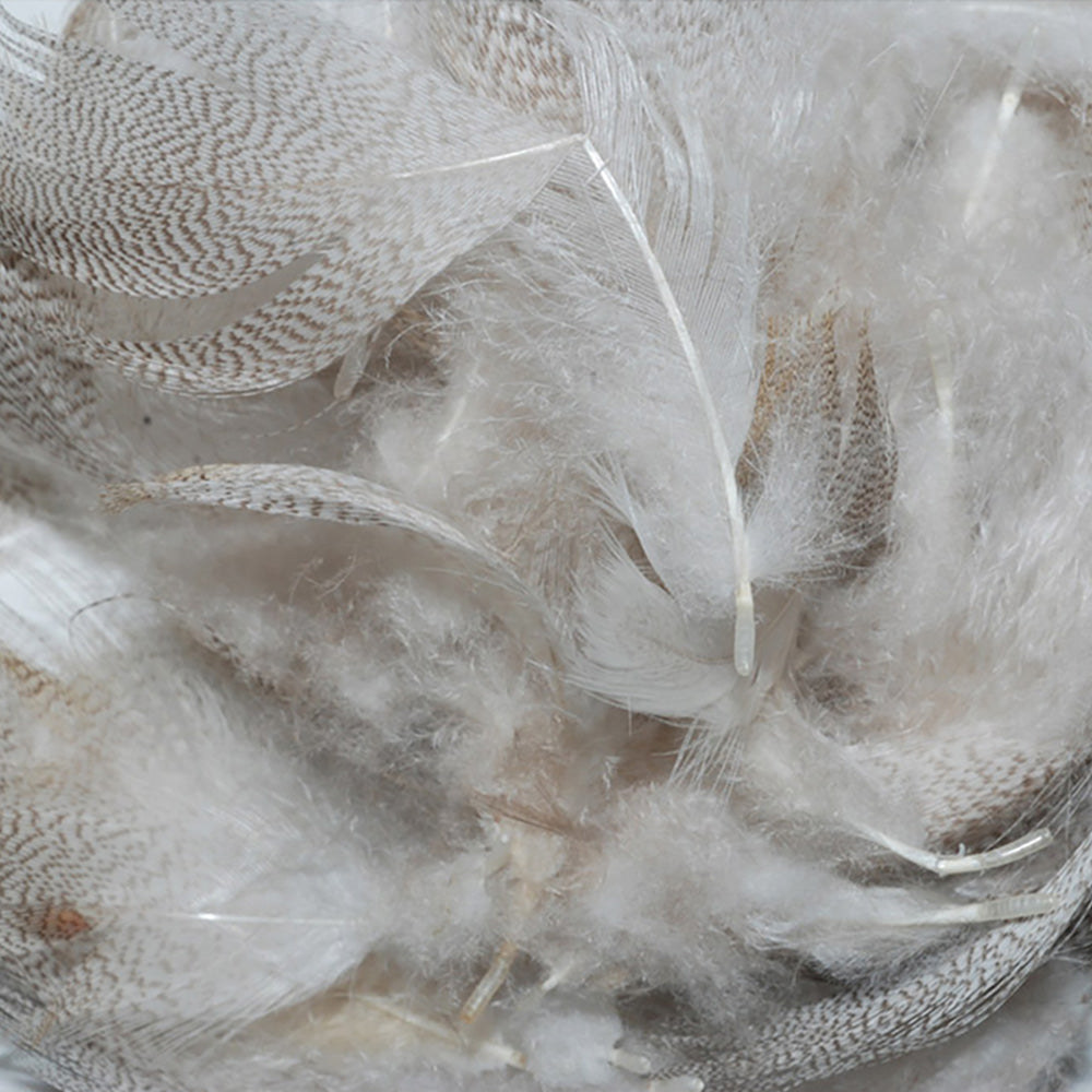 Mallard Flank in natural for fly tying