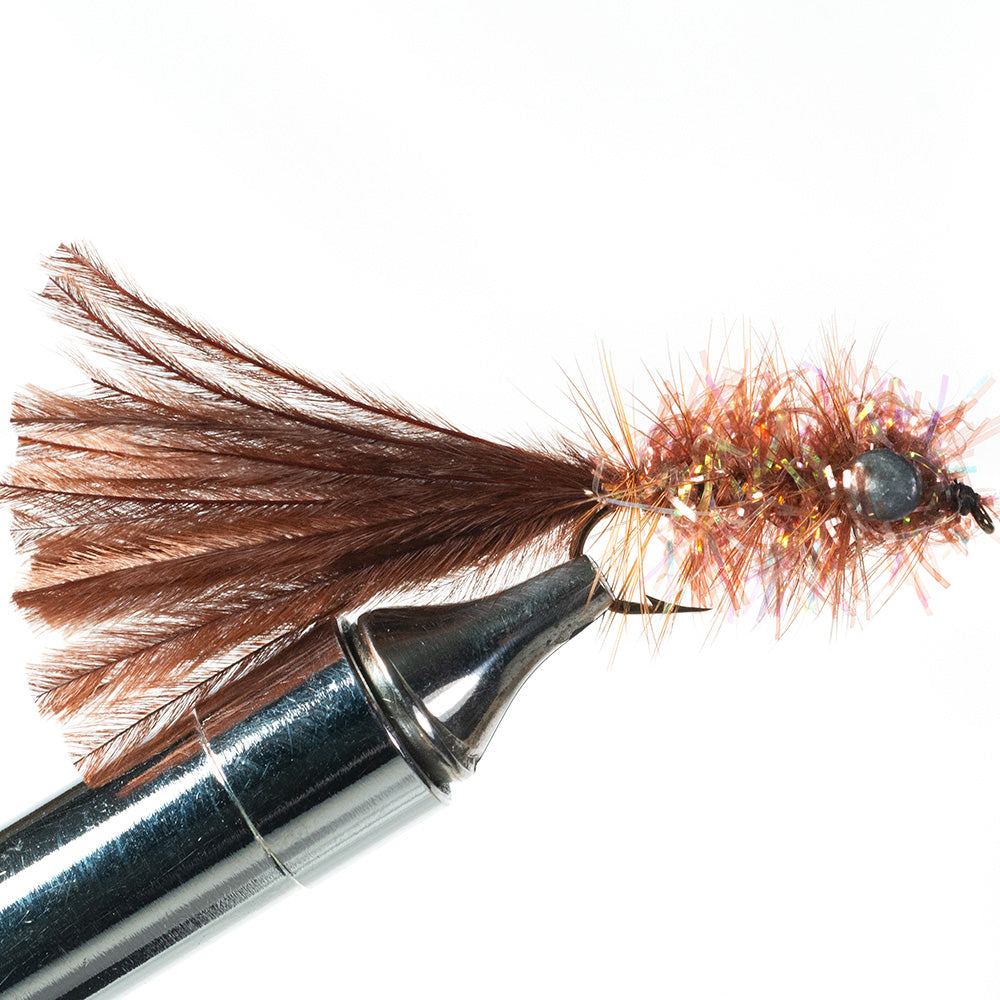 Murray's Marauder, brown with dumbbell eyes