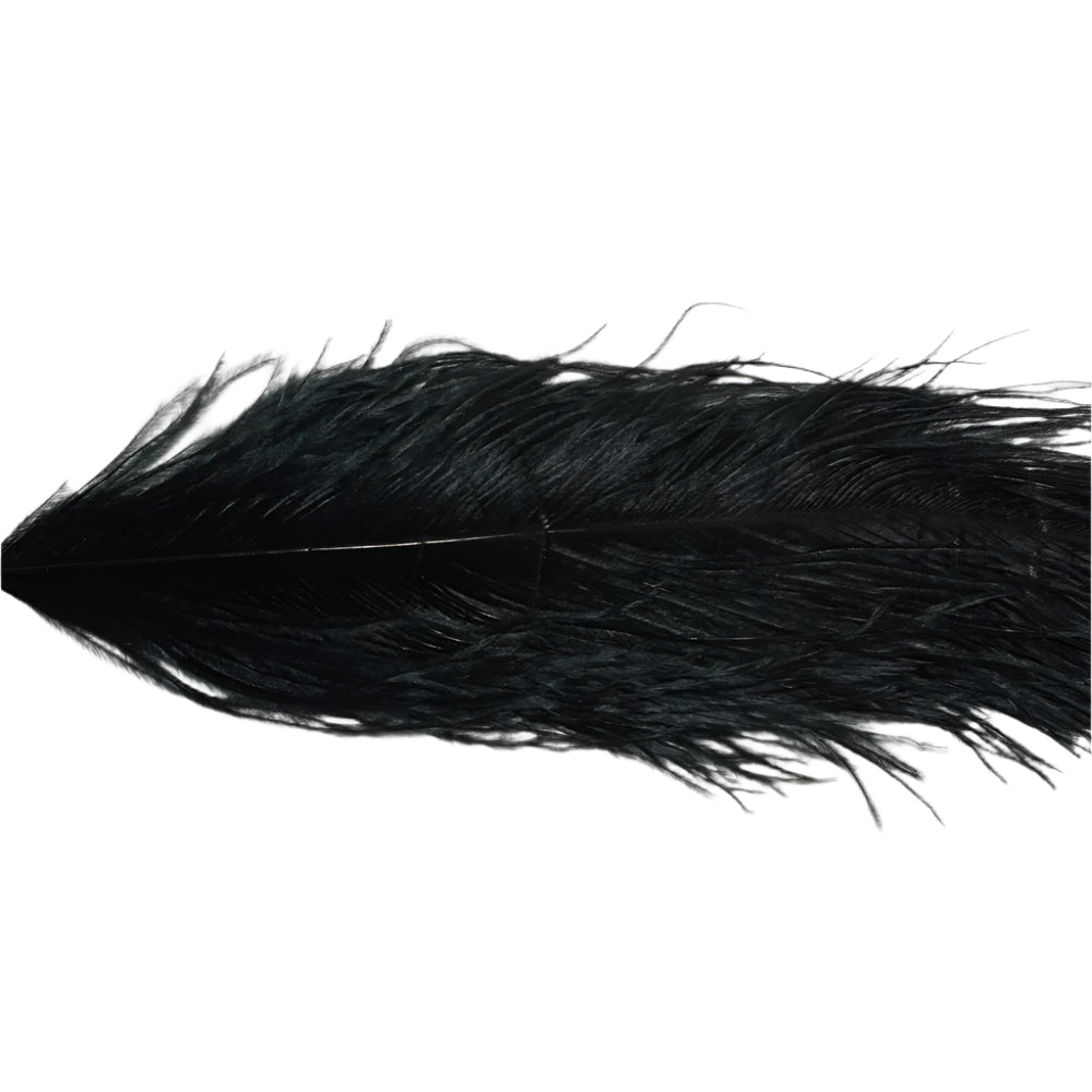 Ostrich Plume in black used for fly tying