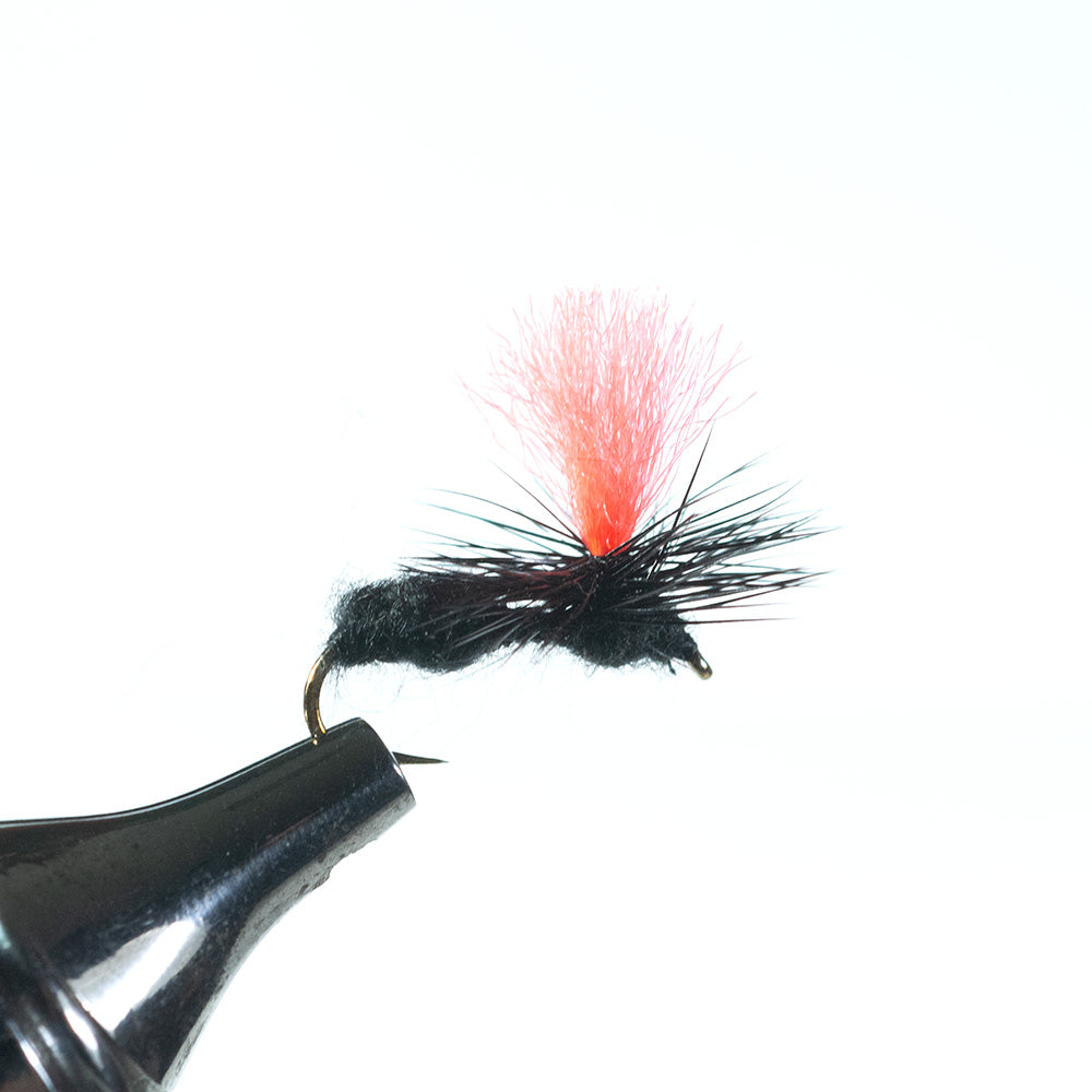 Parachute Black Ant, Orange Parachute Black Ant, Orange