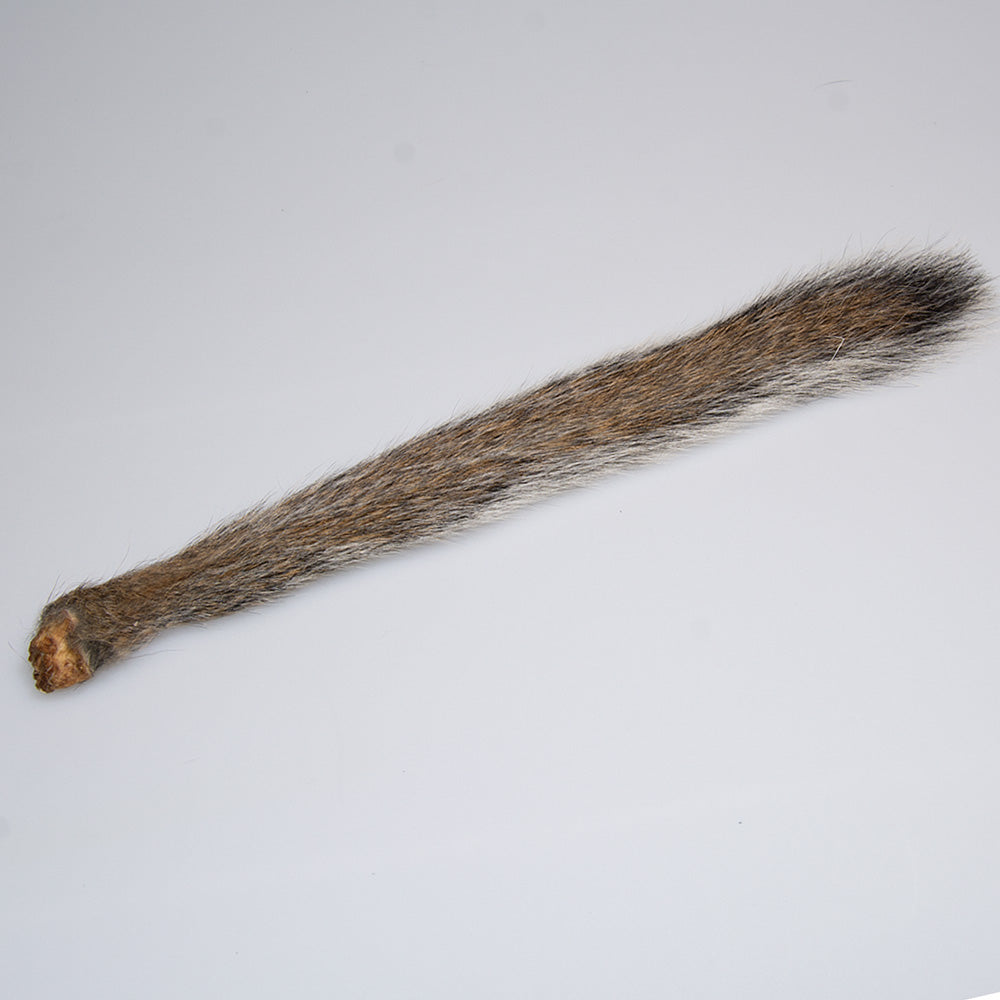 Squirrel Tail in gray used for fly tying