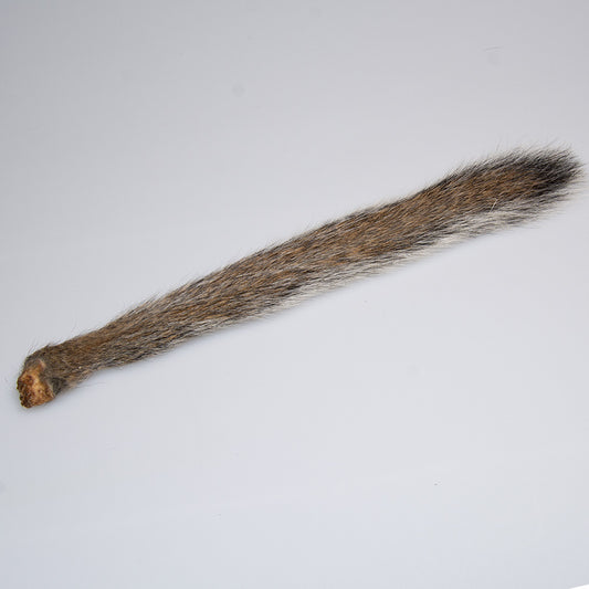 Squirrel Tail in gray used for fly tying