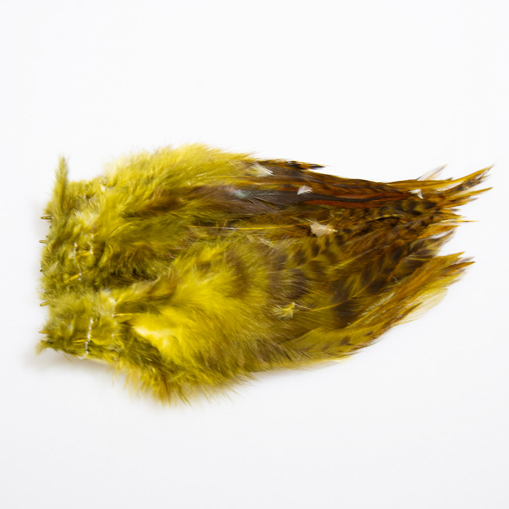Strung 4-6inch Grizzly Variant Saddle Hackle in Olive