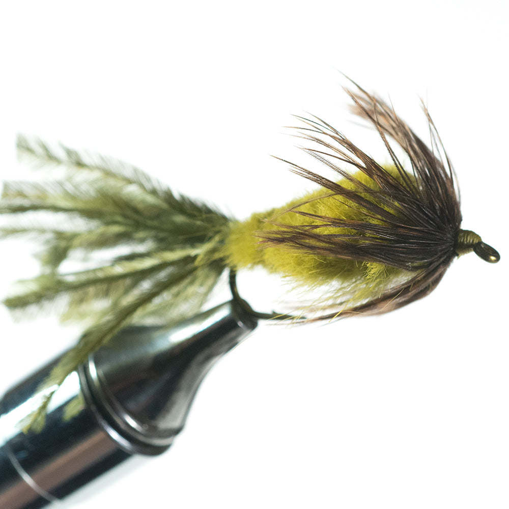 Murray's Strymph, Olive