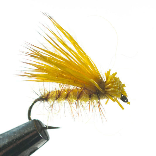 Murray's Yellow Jacket Dry Fly