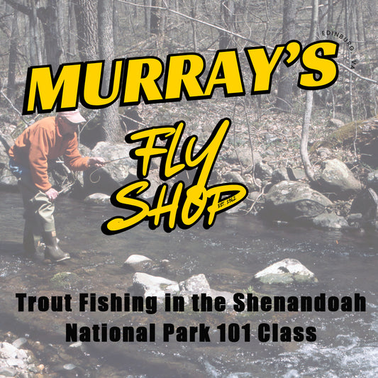 Trout Fishing in the Shenandoah National Park 101 Classroom discussion offered at Murray's Fly Shop