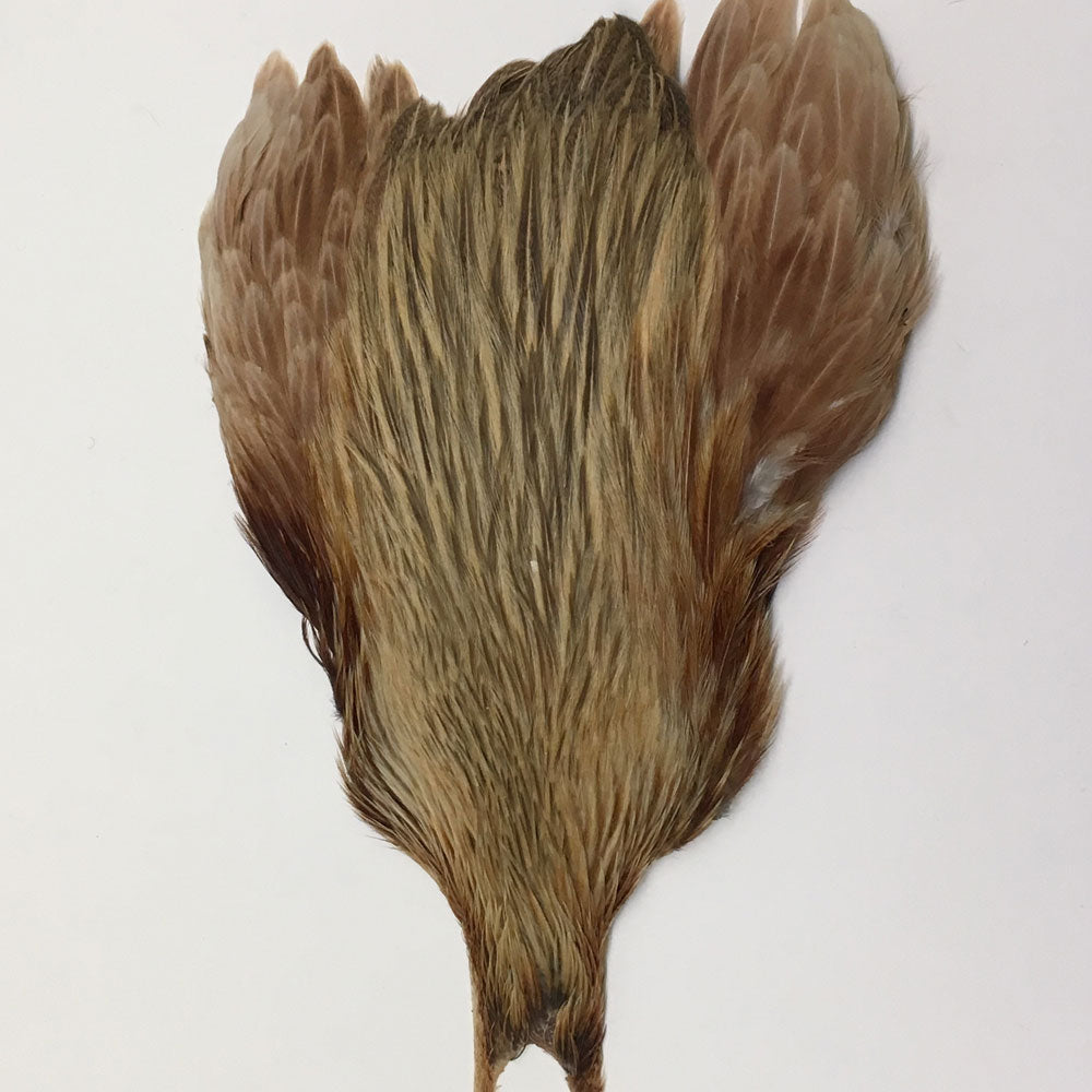 Metz Hen Neck Grade 1