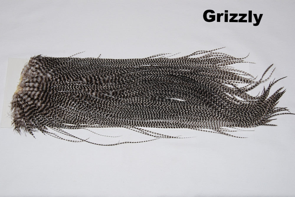Grizzly