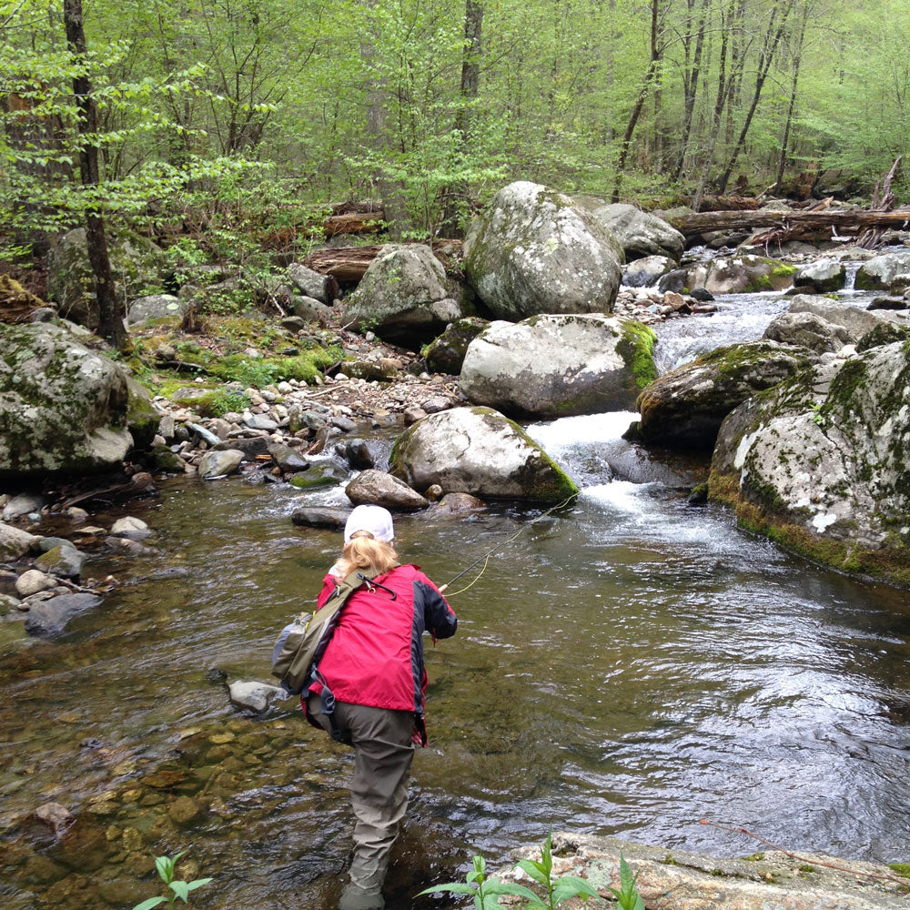 Mountain Trout Fly Fishing Shenandoah National Park - Murray's Fly Shop