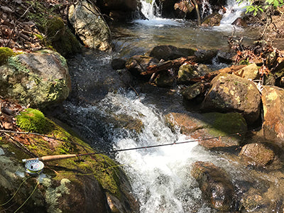 Mountain Trout Streams Fly Fishing Report - April 2, 2020