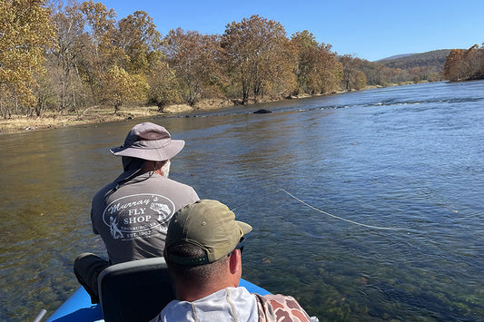 Smallmouth Bass Streams Fly Fishing Report - December 3, 2025