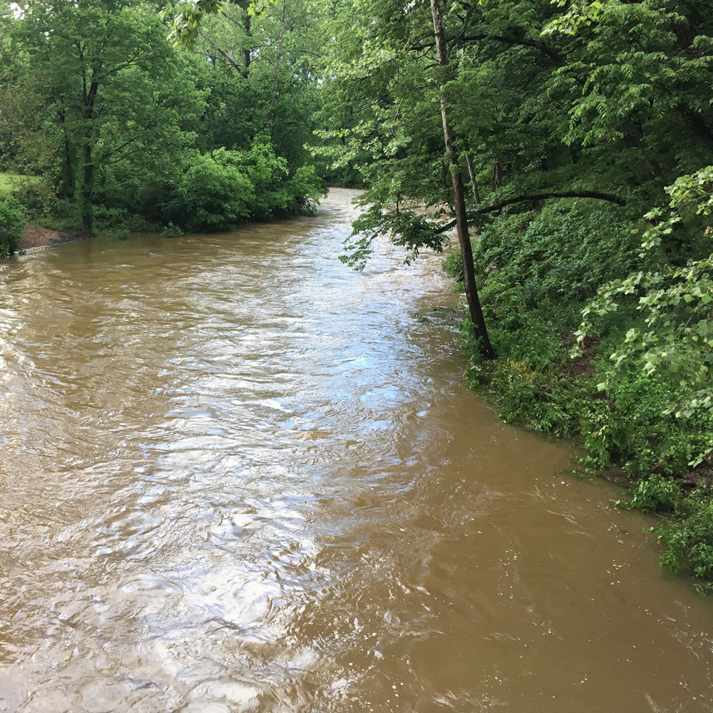 Delayed Harvest and Stocked Trout Streams Fly Fishing Report - May 26, 2017