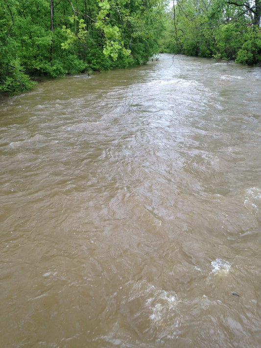 Stocked Trout Streams Fly Fishing Report - September 10, 2018
