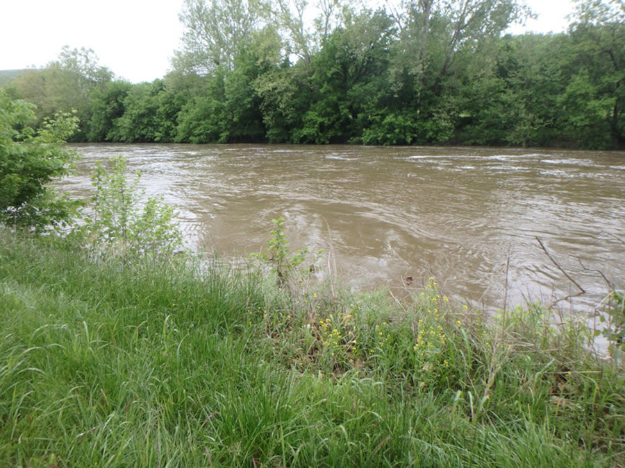 Smallmouth Bass Streams Fly Fishing Report- October 5, 2024