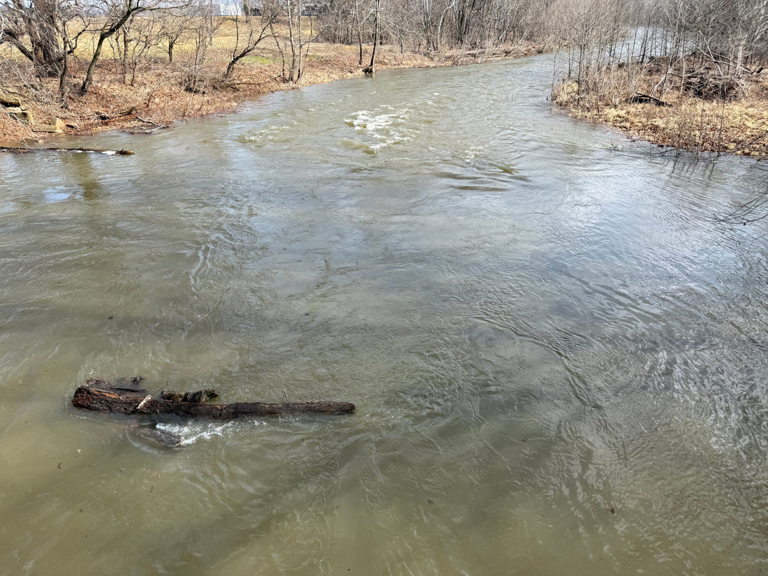 The North Fork of the Shenandoah River near Edinburg shown slightly off color at a great winter level for floating 