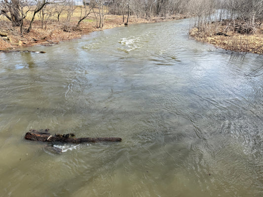 The North Fork of the Shenandoah River near Edinburg shown slightly off color at a great winter level for floating 