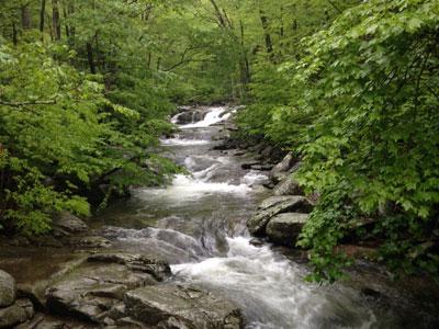 Mountain Trout Streams Fly Fishing Report - September 25, 2018