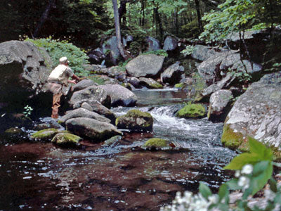 Mountain Trout Streams Fly Fishing Report - Update July 6, 2018