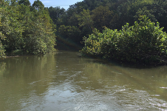 Smallmouth Bass Streams Fly Fishing Report - May 30, 2026