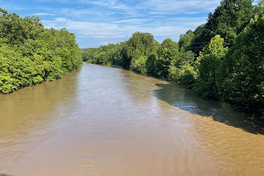Smallmouth Bass Streams Fly Fishing Report - July 17, 2025