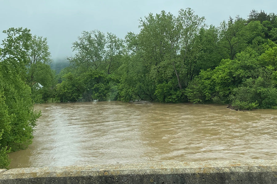 Smallmouth Bass and Trout Streams Fly Fishing Report - May 14, 2025