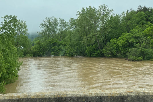 Smallmouth Bass and Trout Streams Fly Fishing Report - May 14, 2025