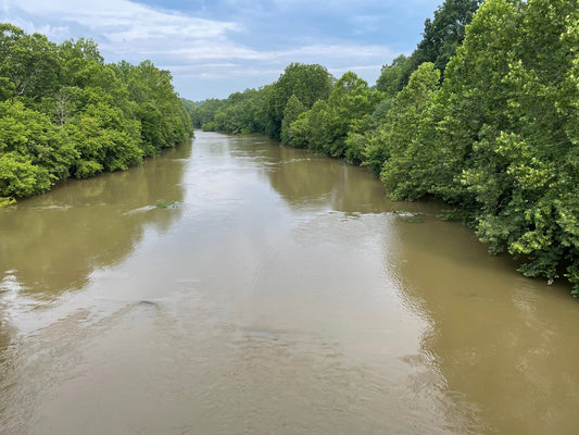 Smallmouth Bass Fly Fishing Stream Report July 10, 2026