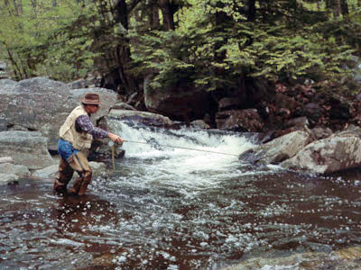 Stocked Trout Streams Fly Fishing Report - Update June 29, 2018