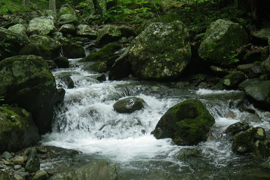 Trout Streams Fly Fishing Report - Update May 23, 2025