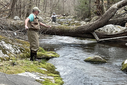Trout Streams Fly Fishing Report - March 4, 2026