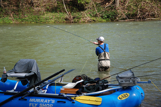 Smallmouth Bass Streams Fly Fishing Report - March 27, 2024
