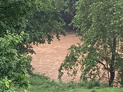 Smallmouth Bass Streams Fly Fishing Report - Update June 11, 2021