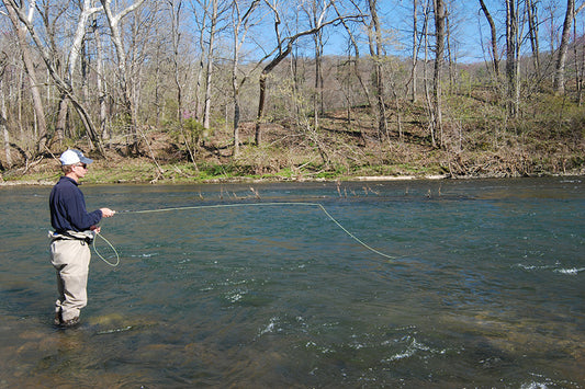 Smallmouth Bass Streams Fly Fishing Report - March 6, 2024