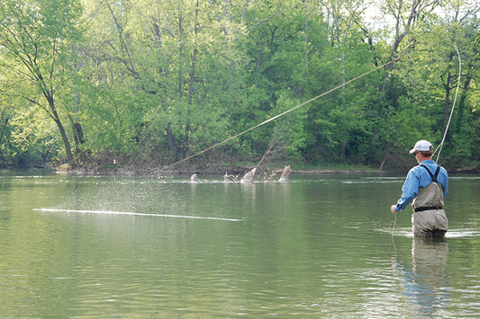 Smallmouth Bass Streams Fly Fishing Report - April 8, 2026