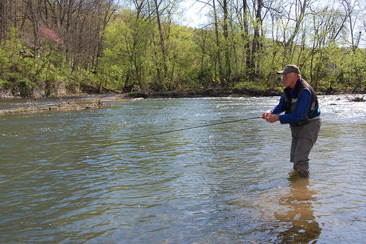 Smallmouth Bass Streams Fly Fishing Report - April 9, 2025