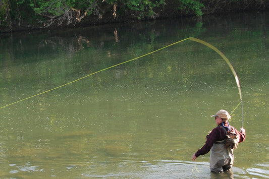 Smallmouth Bass Streams Fly Fishing Report - April 22, 2026