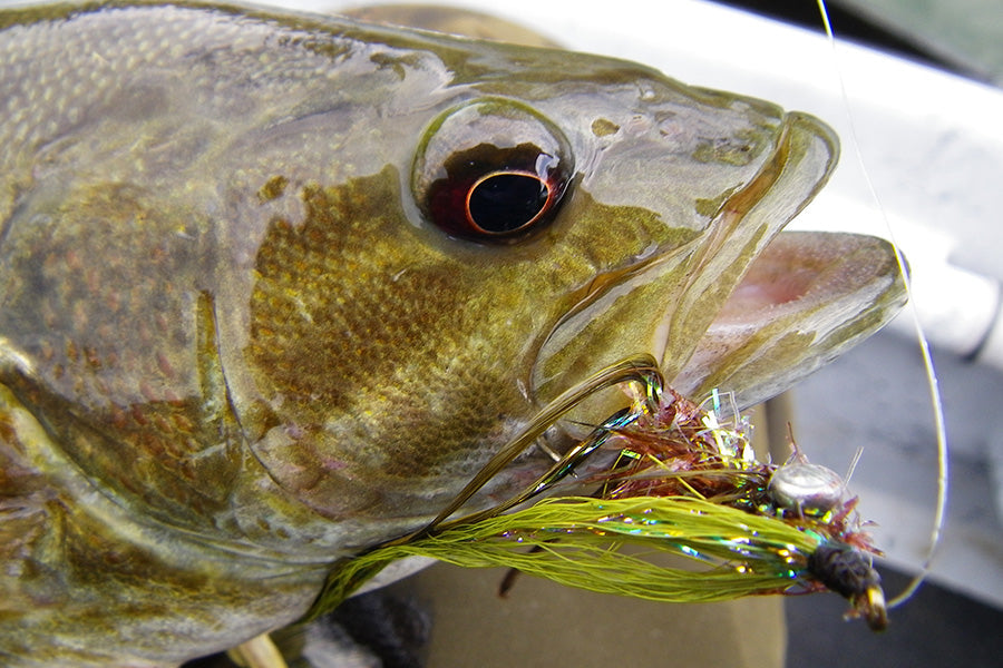 Smallmouth Bass Streams Fly Fishing Report -April 30, 2026