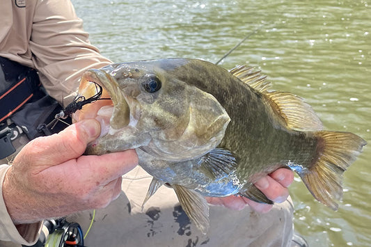 Smallmouth Bass Streams Fly Fishing Report - May 8, 2024