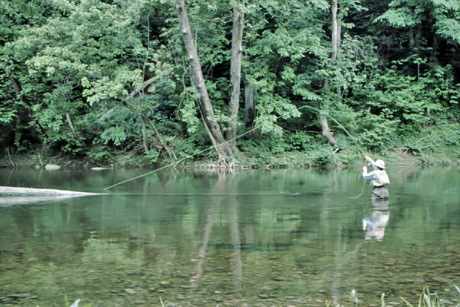 Smallmouth Bass Streams Fly Fishing Report - June 16, 2022