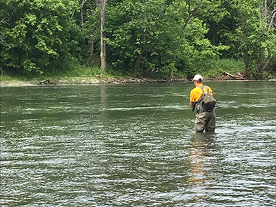 Updated Smallmouth Bass Streams Fly Fishing Report - June 23, 2020
