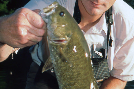 Smallmouth Bass Streams Fly Fishing Report - July 22, 2026