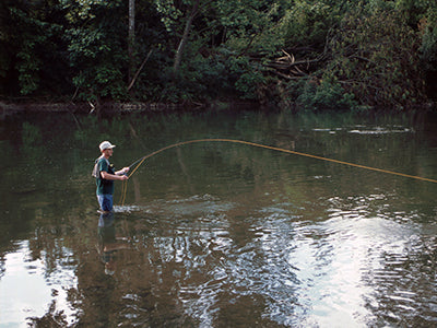 Smallmouth Bass Streams Fly Fishing Report - August 5, 2021