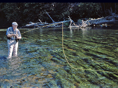 Smallmouth Bass Streams Fly Fishing Report - Update August 15, 2020