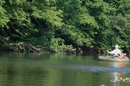 Smallmouth Bass Streams Fly Fishing Report - August 20, 2025