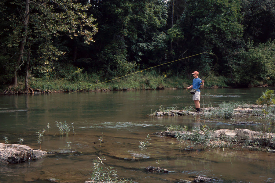 Smallmouth Bass Streams Fly Fishing Report- August 23, 2023