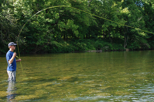 Smallmouth Bass Streams Fly Fishing Report - September 17, 2025