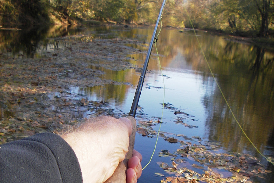Smallmouth Bass Streams Fly Fishing Report - November 15, 2023