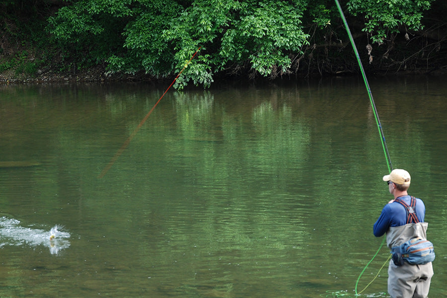 Smallmouth Bass Streams Fly Fishing Report - April 30, 2025